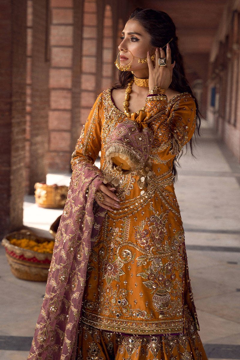 Maria B Gul Hand Embellished Organza Party Wear Suit - Designer Photoshoot Gallery Angle 6 | IQNAZ Couture