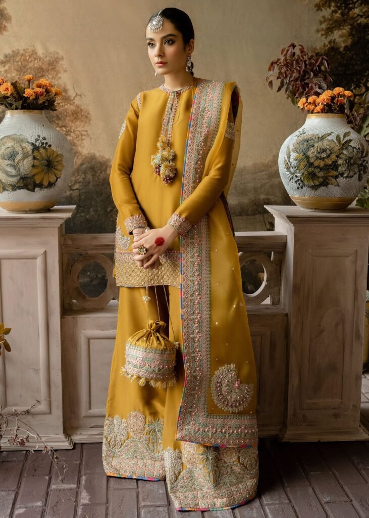 Hussain Rehar Arasti Embroidered Organza Party Wear Suit - Model Front Look | Pakistani Designer Replica Wholesale | IQNAZ