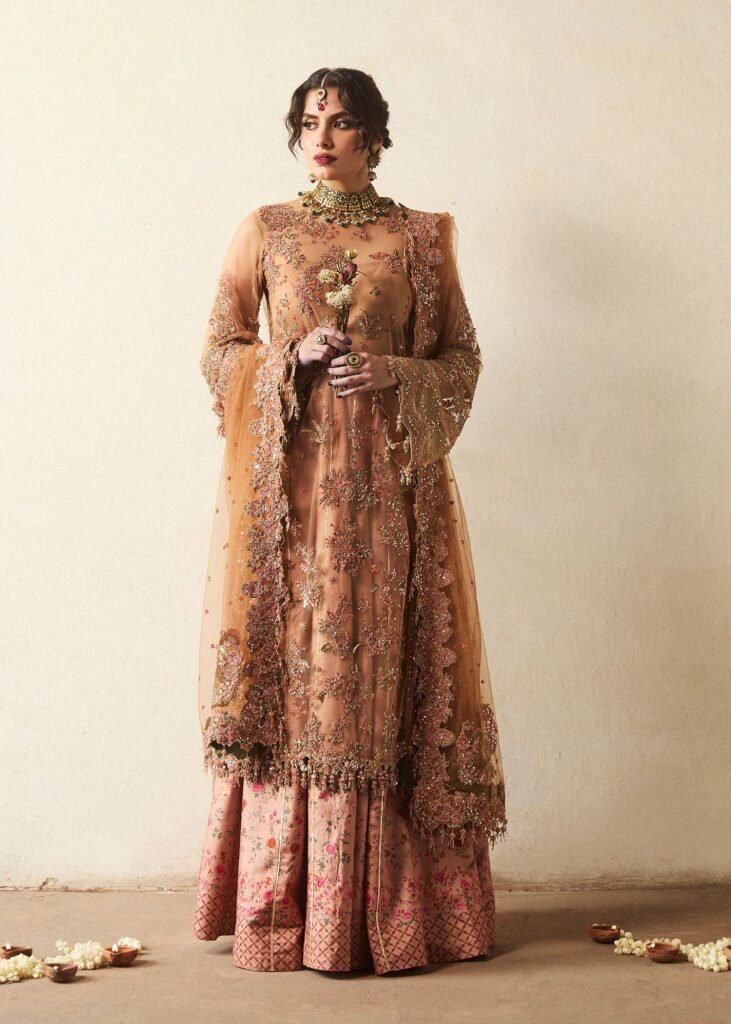 Hussain Rehar Ratila Embroidered Organza Party Wear Suit - Model Front Look | Pakistani Designer Replica Wholesale | IQNAZ