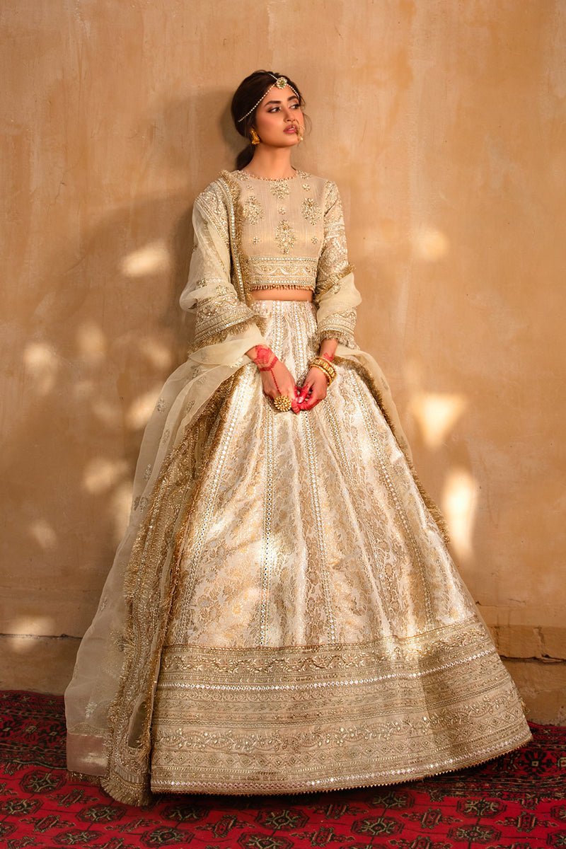 Qalamkar Afsanah D Embroidered Organza Party Wear Suit - Model Front Look | Pakistani Designer Replica Wholesale | IQNAZ