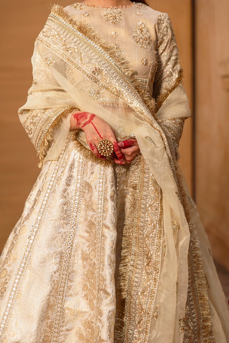 Qalamkar Afsanah D Embroidered Organza Party Wear Suit - Embroidered Back & Daman Silhouette Detailing | IQNAZ