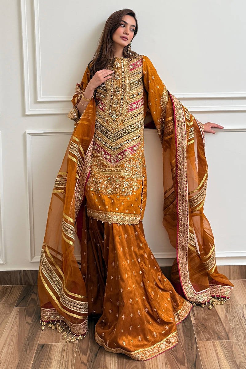 Mohsin Naveed Ranjha Ranjish Embroidered Organza Party Wear Suit - Designer Photoshoot Gallery Angle 13 | IQNAZ Couture