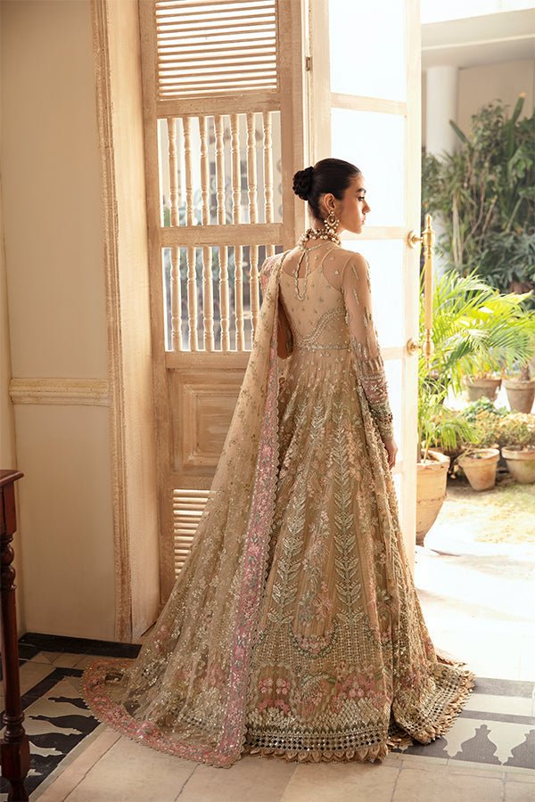 Soraya Irina Embroidered Net Party Wear Suit - Embroidered Back & Daman Silhouette Detailing | IQNAZ