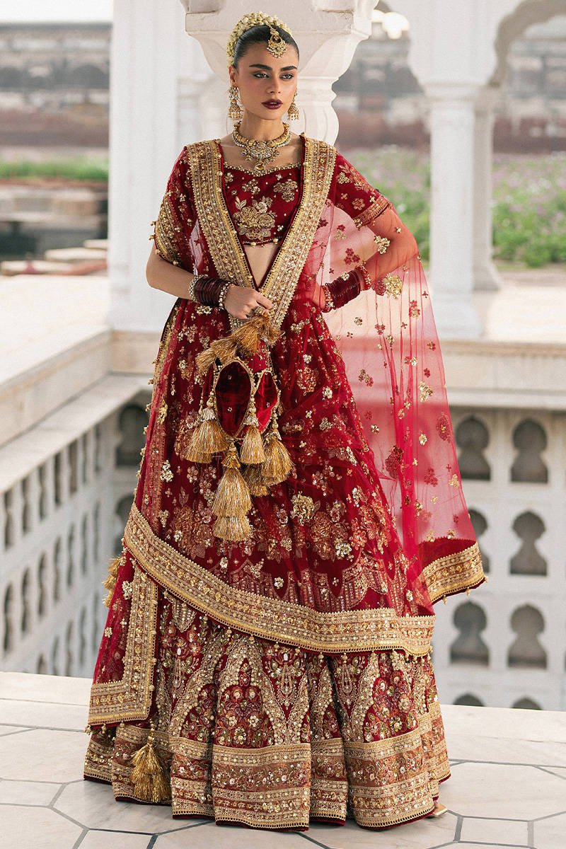 Mohsin Naveed Ranjha Bia Jaan Hand Embellished Organza Party Wear Suit - Embroidered Back & Daman Silhouette Detailing | IQNAZ