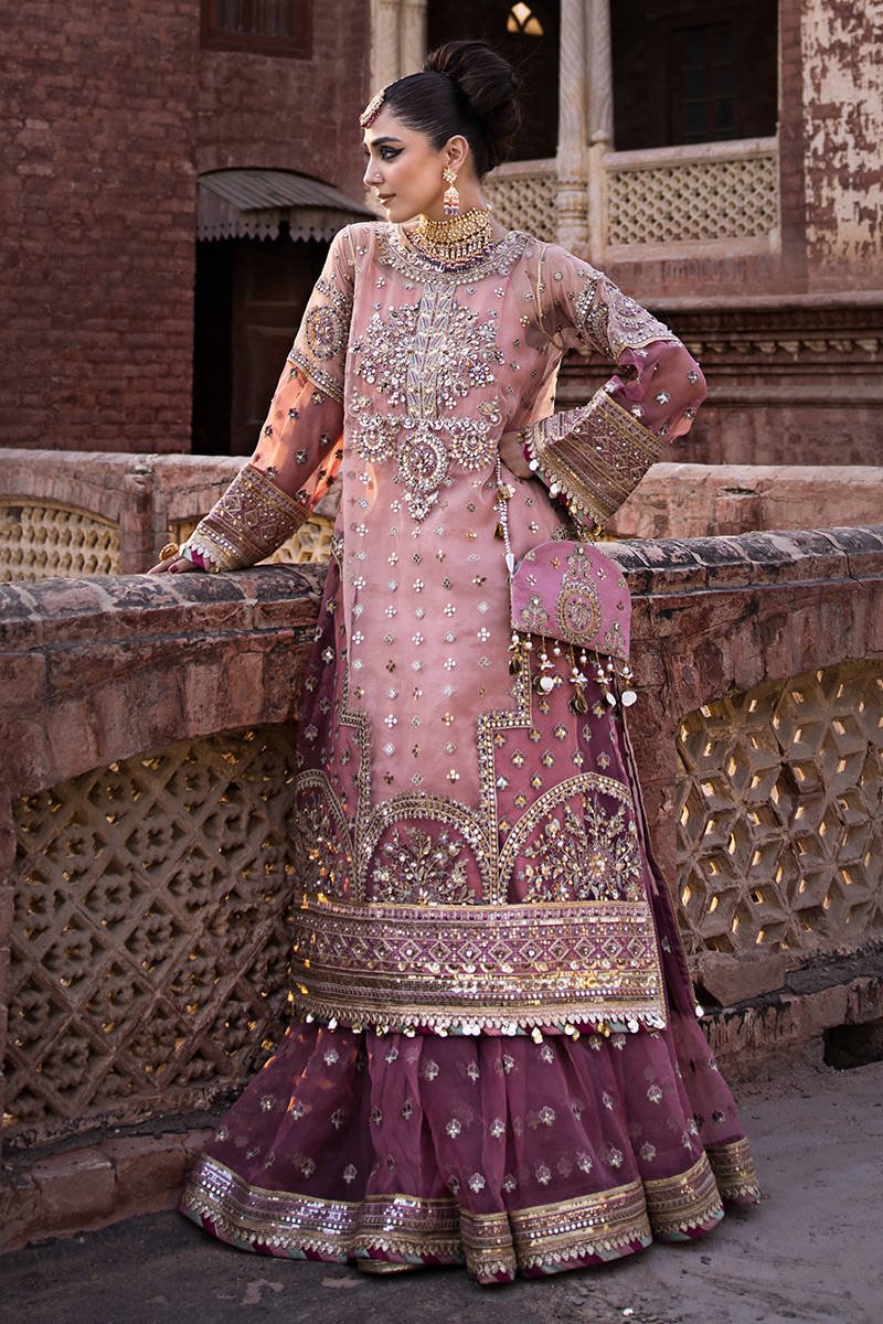 Mohsin Naveed Ranjha Aarzoo Embroidered Organza Party Wear Suit - Four-Sided Embroidered Dupatta & Pallu Border | IQNAZ