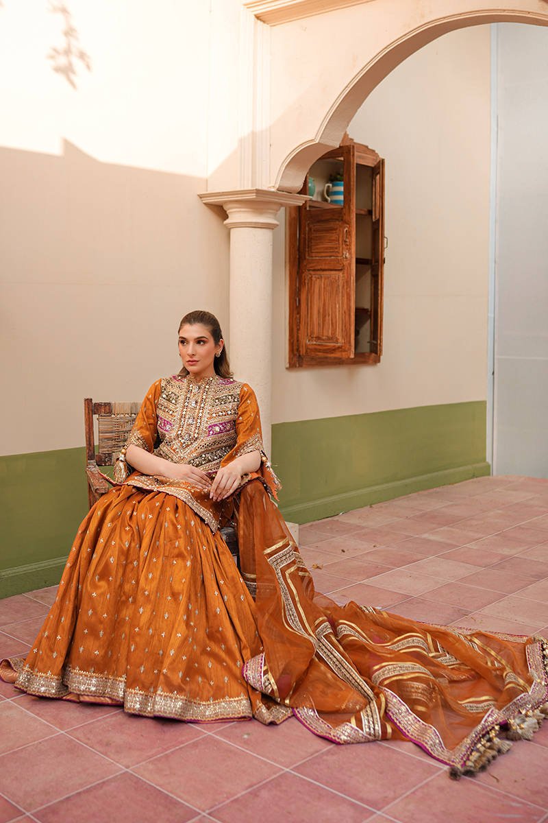 Mohsin Naveed Ranjha Ranjish Embroidered Organza Party Wear Suit - Designer Photoshoot Gallery Angle 17 | IQNAZ Couture