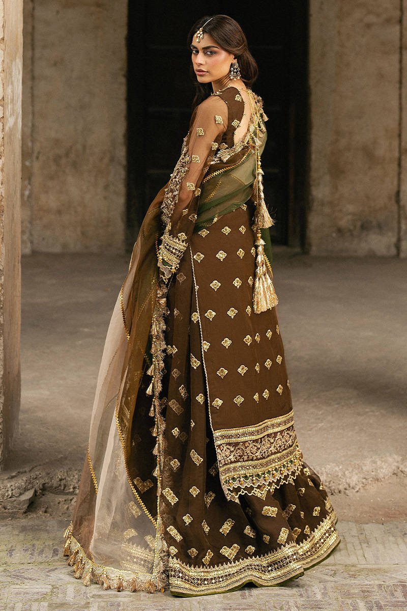 Mohsin Naveed Ranjha Tabeer Embroidered Organza Party Wear Suit - Designer Photoshoot Gallery Angle 13 | IQNAZ Couture