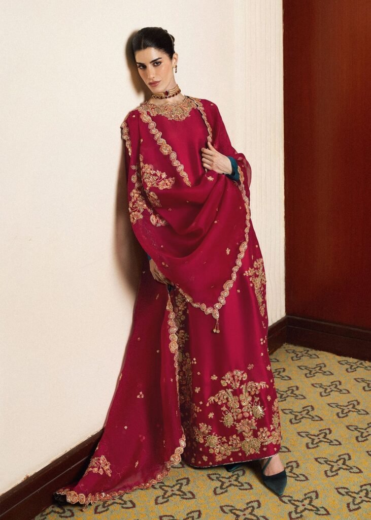 Hussain Rehar Embroidered Organza Party Wear Suit - Model Front Look | Pakistani Designer Replica Wholesale | IQNAZ
