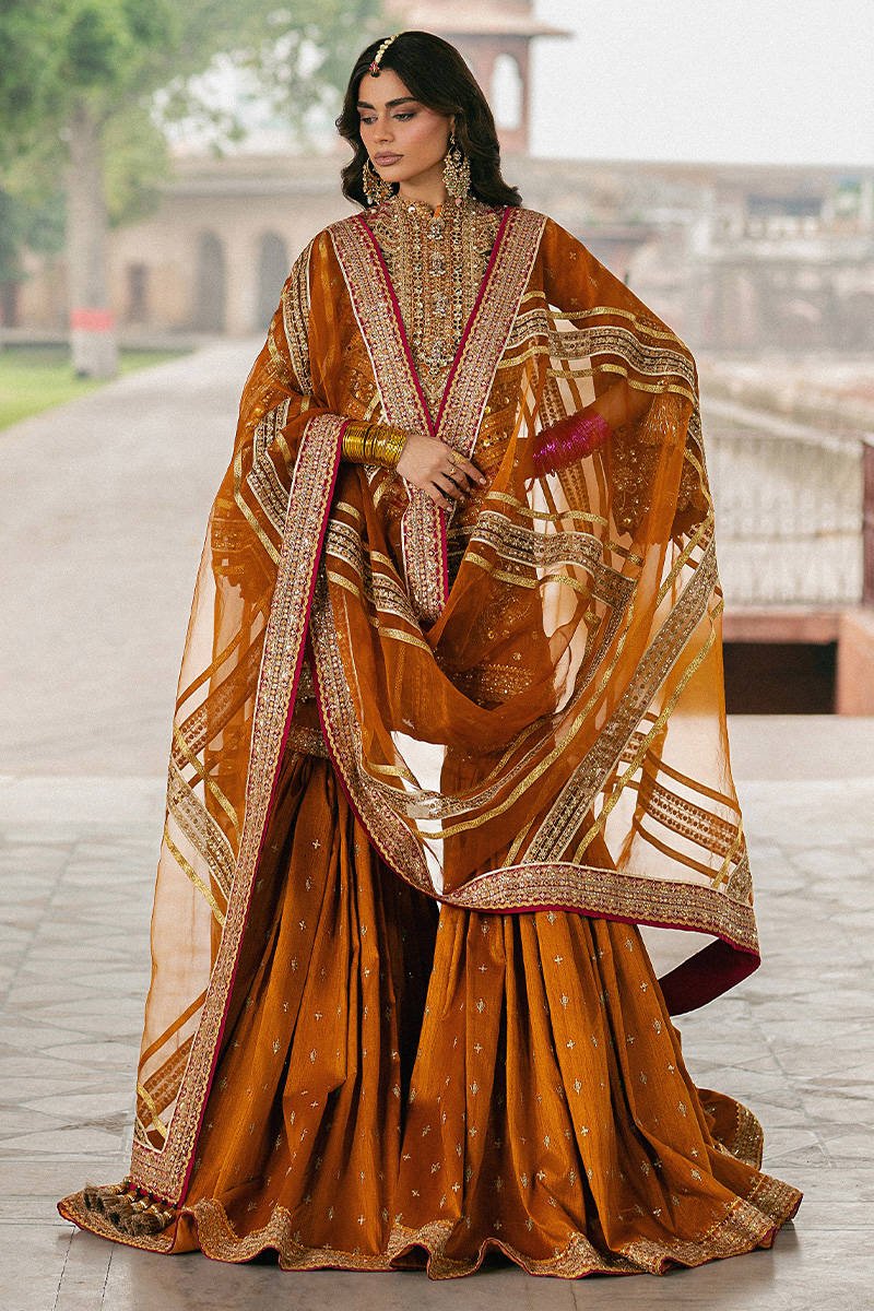 Mohsin Naveed Ranjha Ranjish Embroidered Organza Party Wear Suit - Close-Up Hand Embellishment Tilla & Pearl Work | IQNAZ