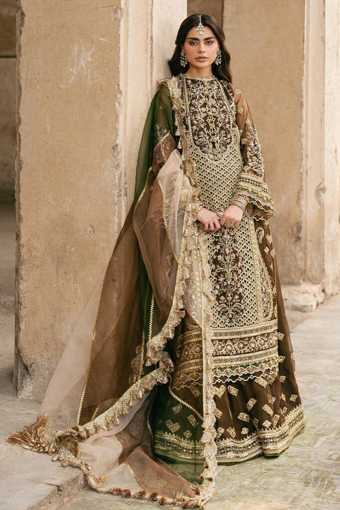Mohsin Naveed Ranjha Tabeer Embroidered Organza Party Wear Suit - Model Front Look | Pakistani Designer Replica Wholesale | IQNAZ