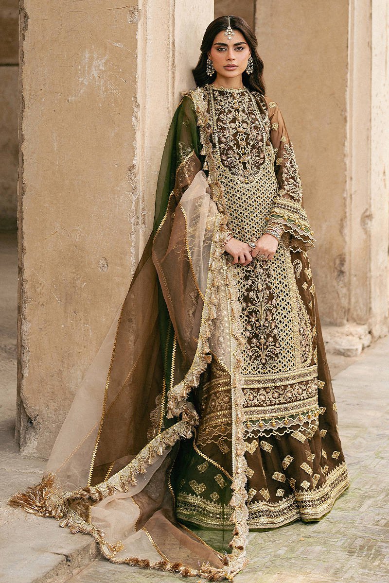 Mohsin Naveed Ranjha Tabeer Embroidered Organza Party Wear Suit - Model Front Look | Pakistani Designer Replica Wholesale | IQNAZ