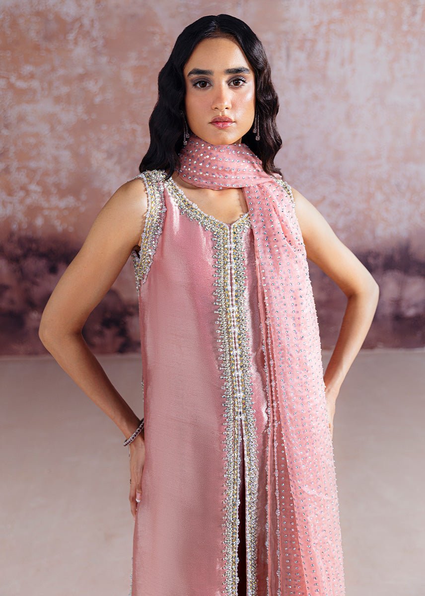 Sara Rohail Asghar Embroidered Organza Party Wear Suit – Back View & Silhouette Sara Rohail Asghar Embroidered Organza Party Wear Suit - Embroidered Back & Daman Silhouette Detailing | IQNAZ