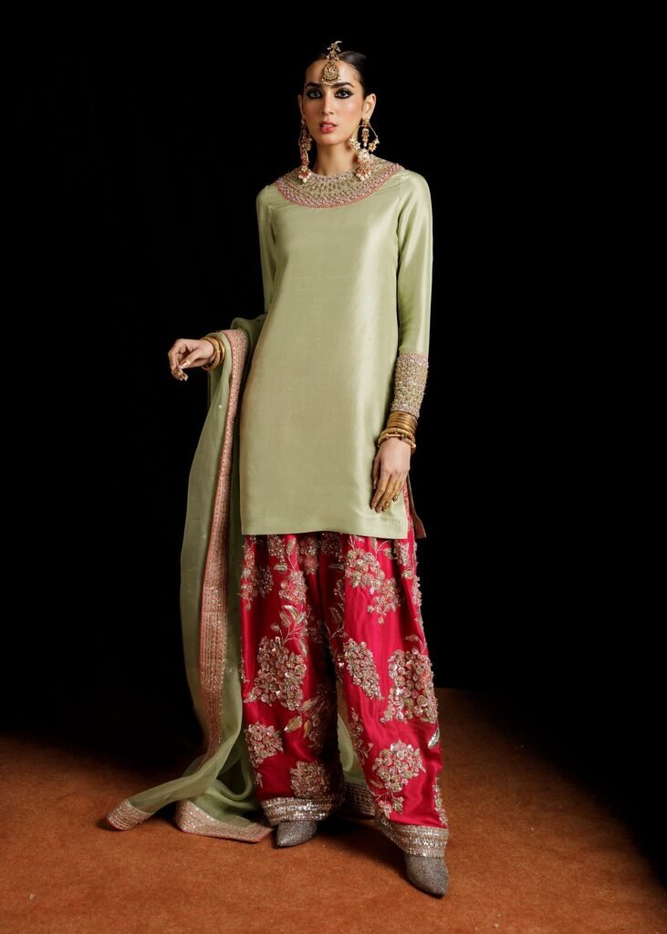 Hussain Rehar Hand Embellished Organza Party Wear Suit - Model Front Look | Pakistani Designer Replica Wholesale | IQNAZ