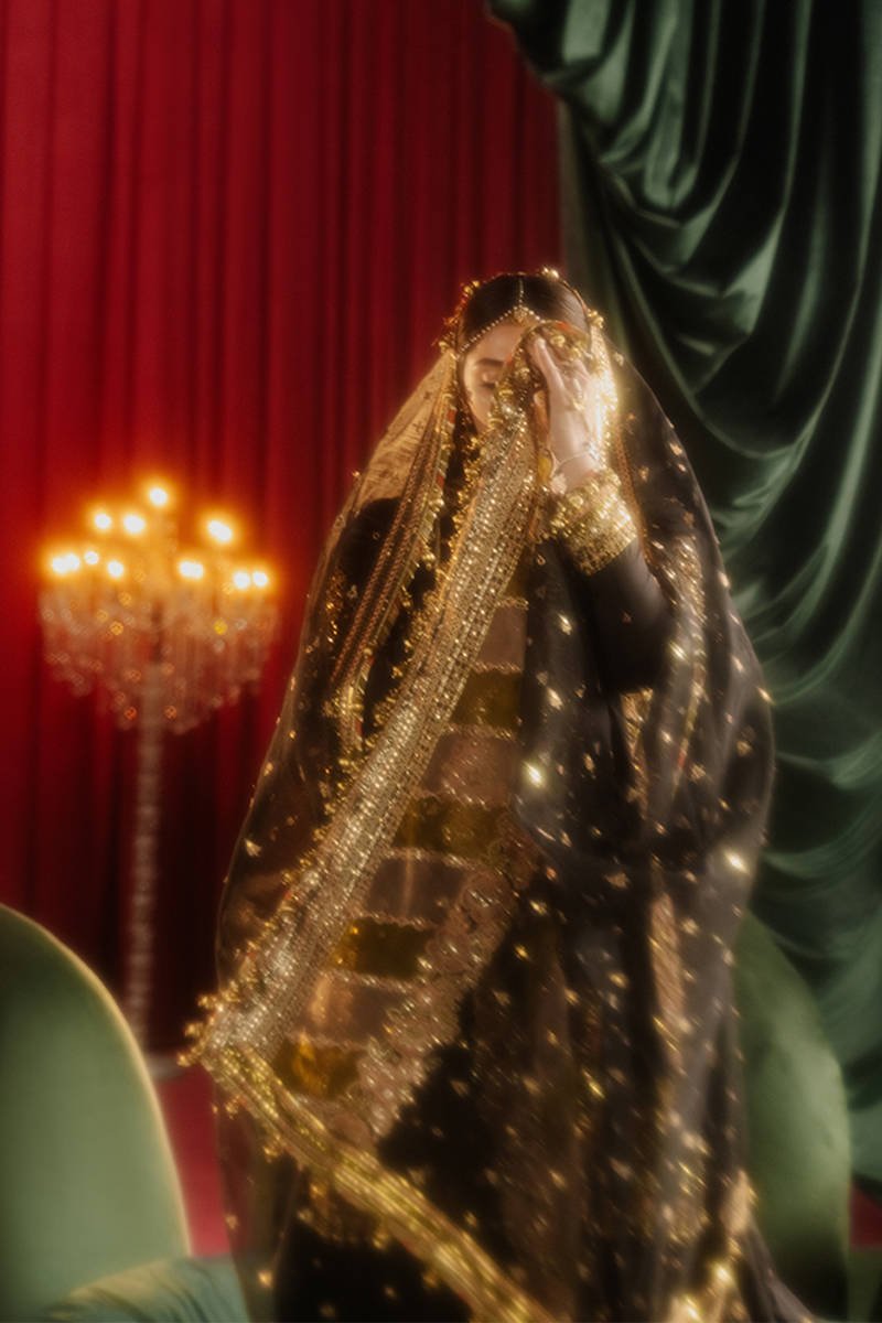 Republic Womens Wear Afreen Embroidered Organza Party Wear Suit - Designer Photoshoot Gallery Angle 12 | IQNAZ Couture