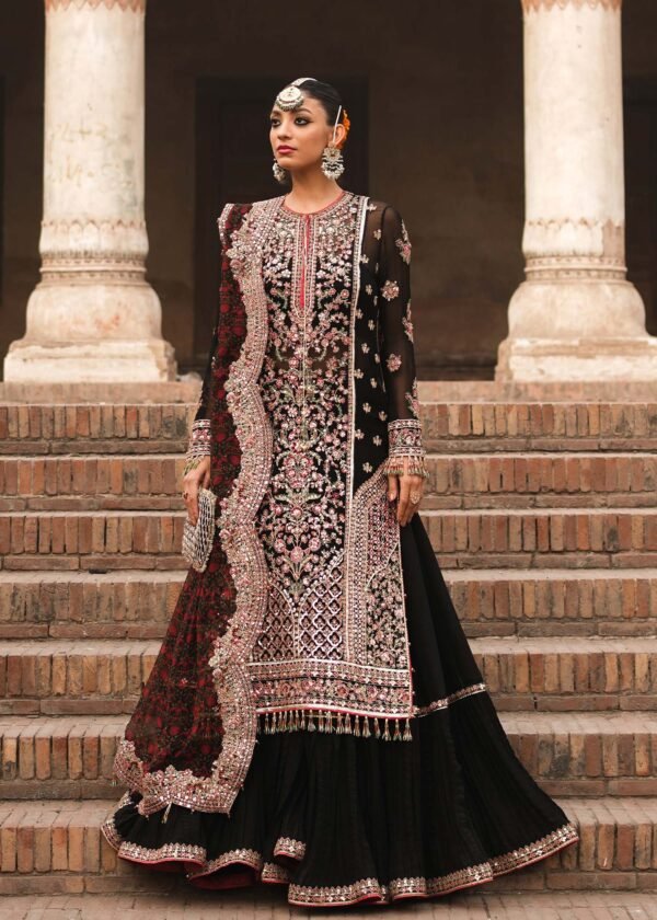 Hussain Rehar Embroidered Chiffon Party Wear Suit | IQNAZ