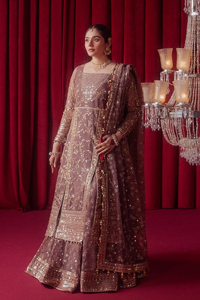 Hussain Rehar Dil Nasheen Embroidered Organza Party Wear Suit - Model Front Look | Pakistani Designer Replica Wholesale | IQNAZ