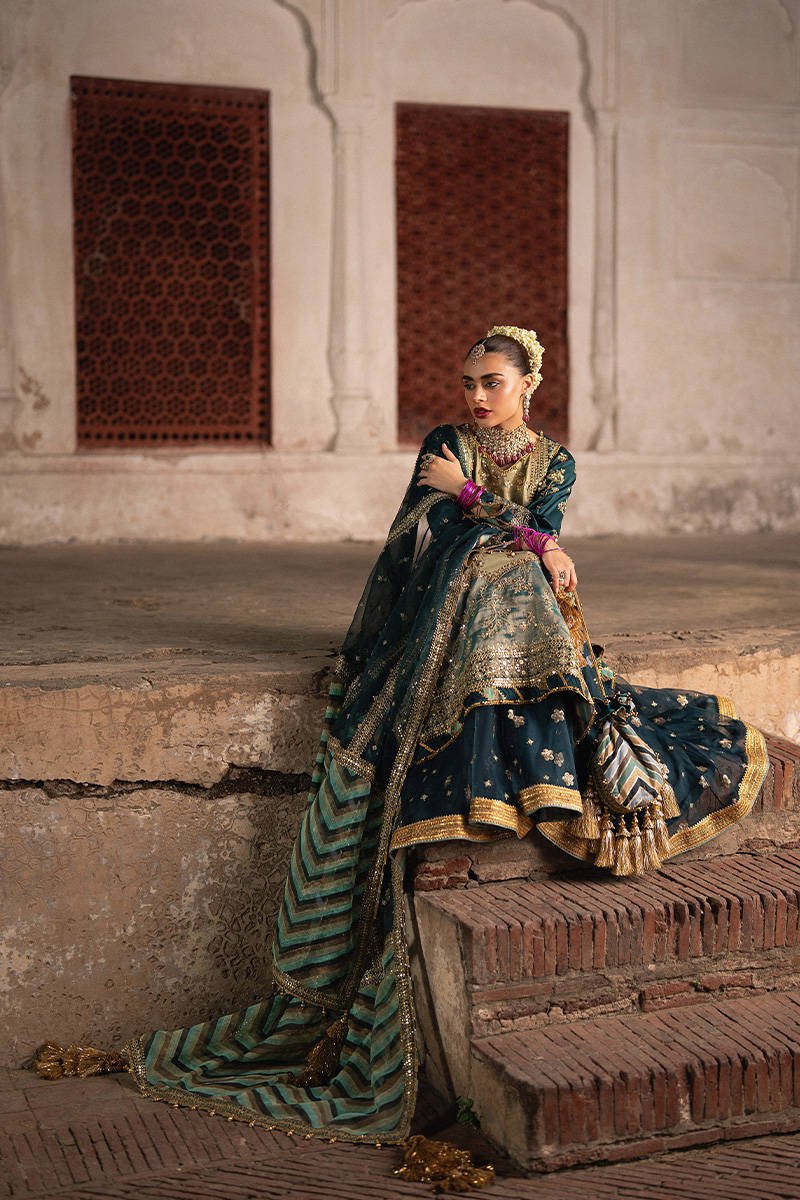 Mohsin Naveed Ranjha Lehar Embroidered Organza Party Wear Suit – Photoshoot Angle 6 Mohsin Naveed Ranjha Lehar Embroidered Organza Party Wear Suit - Designer Photoshoot Gallery Angle 6 | IQNAZ Couture