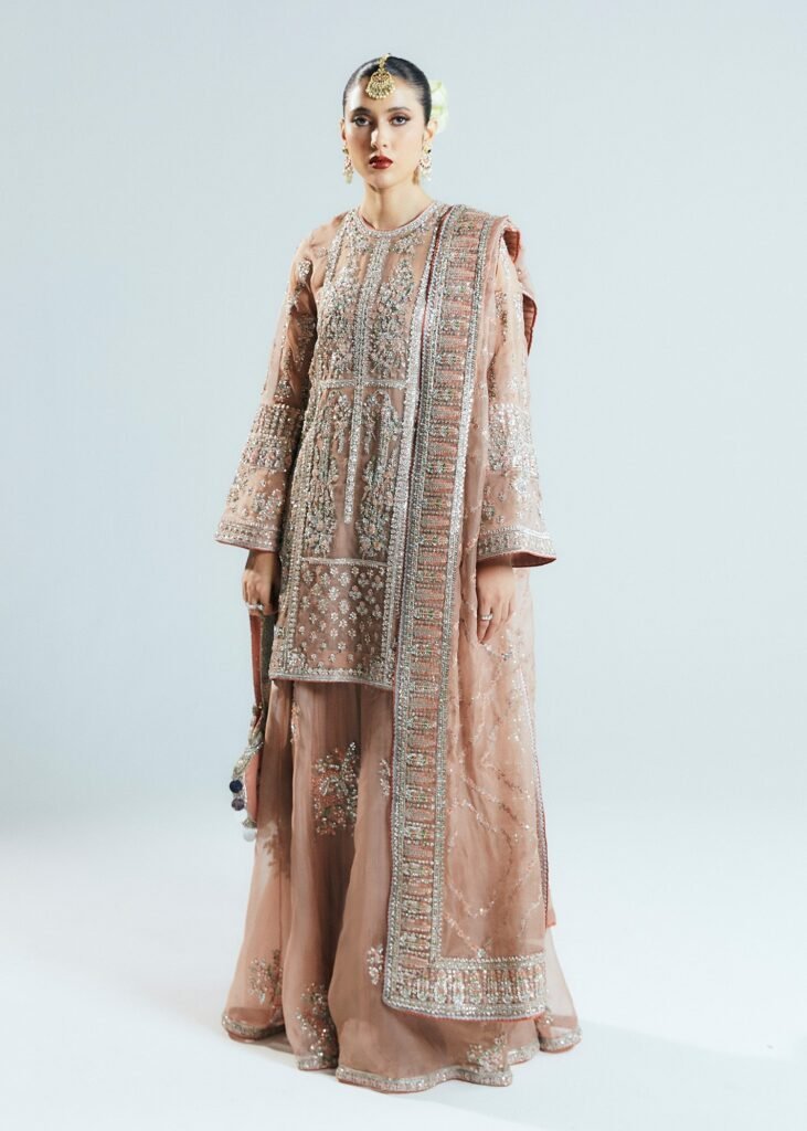 Hussain Rehar Dune Embroidered Organza Party Wear Suit - Model Front Look | Pakistani Designer Replica Wholesale | IQNAZ