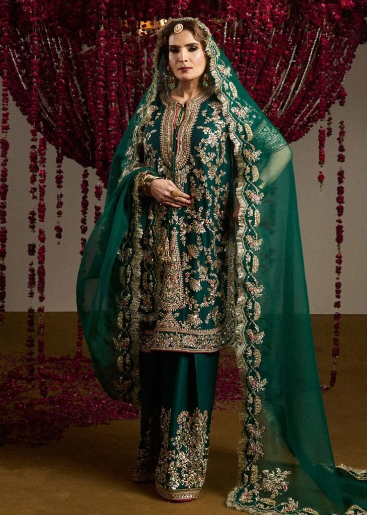 Hussain Rehar Mayle Embroidered Organza Party Wear Suit - Model Front Look | Pakistani Designer Replica Wholesale | IQNAZ