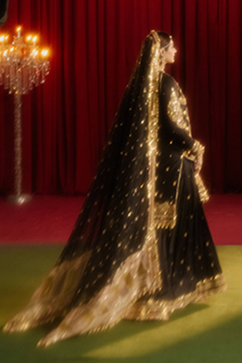 Republic Womens Wear Afreen Embroidered Organza Party Wear Suit - Designer Photoshoot Gallery Angle 9 | IQNAZ Couture