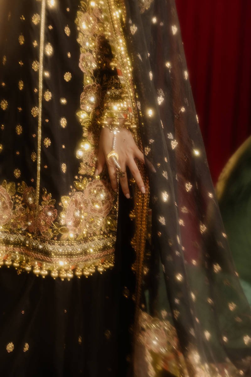 Republic Womens Wear Afreen Embroidered Organza Party Wear Suit - Designer Photoshoot Gallery Angle 15 | IQNAZ Couture