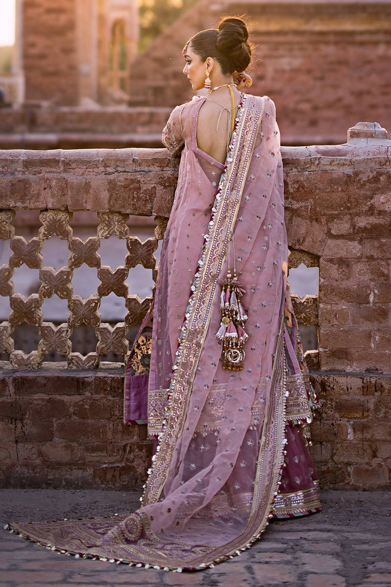 Mohsin Naveed Ranjha Aarzoo Embroidered Organza Party Wear Suit - Matching Bottom & Trouser Fabric Details | IQNAZ