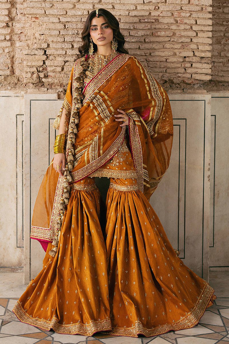 Mohsin Naveed Ranjha Ranjish Embroidered Organza Party Wear Suit - Designer Photoshoot Gallery Angle 8 | IQNAZ Couture