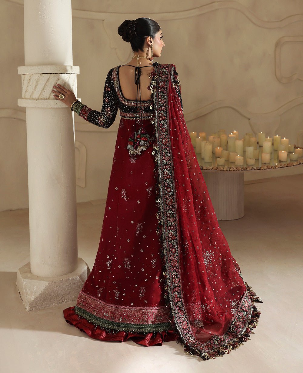 Republic Womens Wear Lucienne Embroidered Organza Party Wear Suit - Embroidered Back & Daman Silhouette Detailing | IQNAZ