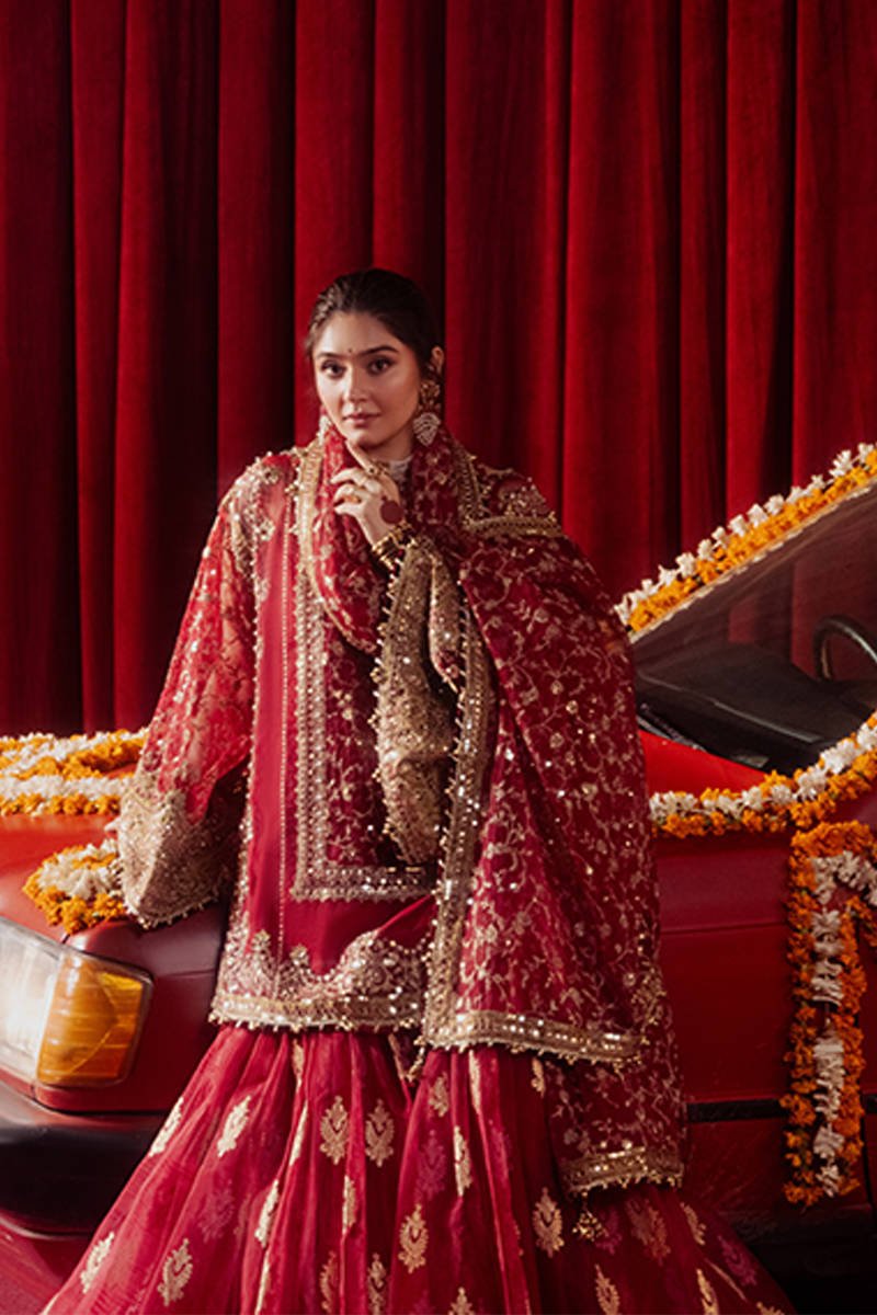 Republic Womens Wear Ela Hand Embellished Organza Party Wear Gharara – Photoshoot Angle 7 Republic Womens Wear Ela Hand Embellished Organza Party Wear Gharara - Designer Photoshoot Gallery Angle 7 | IQNAZ Couture