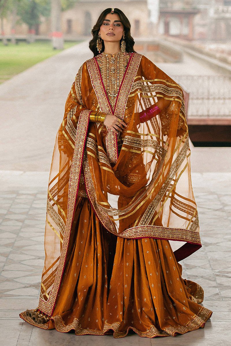 Mohsin Naveed Ranjha Ranjish Embroidered Organza Party Wear Suit - Designer Photoshoot Gallery Angle 6 | IQNAZ Couture