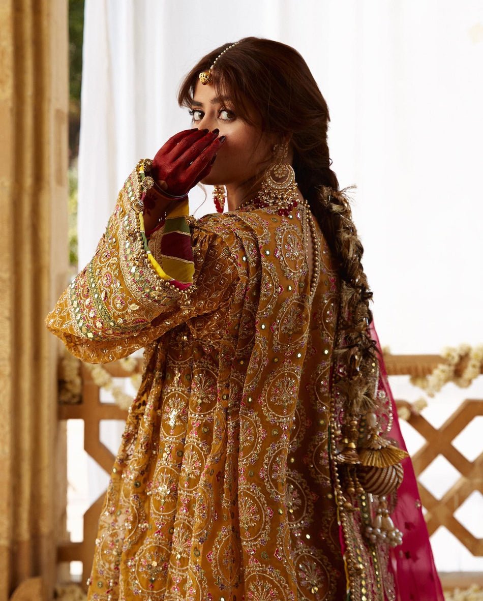 Mohsin Naveed Ranjha Sagar Kinaray Embroidered Organza Party Wear Suit - Embroidered Back & Daman Silhouette Detailing | IQNAZ