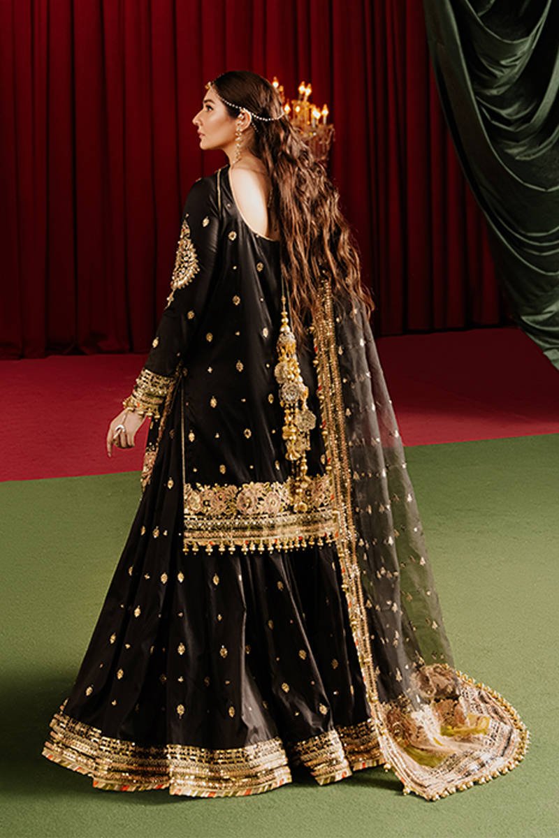 Republic Womens Wear Afreen Embroidered Organza Party Wear Suit - Designer Photoshoot Gallery Angle 8 | IQNAZ Couture