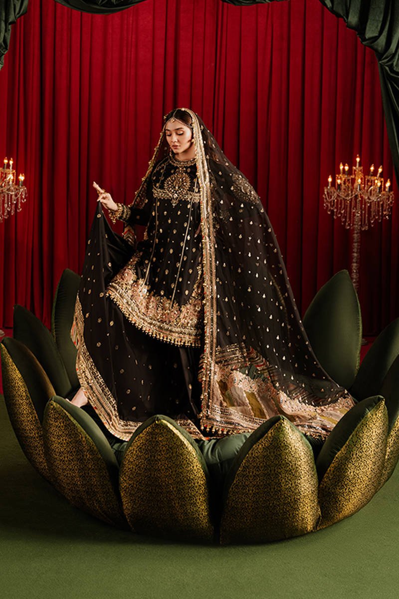 Republic Womens Wear Afreen Embroidered Organza Party Wear Suit - Designer Photoshoot Gallery Angle 6 | IQNAZ Couture