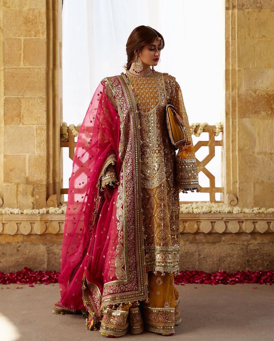 Mohsin Naveed Ranjha Sagar Kinaray Embroidered Organza Party Wear Suit - Designer Photoshoot Gallery Angle 7 | IQNAZ Couture