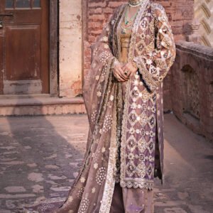Mohsin Naveed Ranjha Talia Hand Embellished Organza Party Wear Suit - Model Front Look | Pakistani Designer Replica Wholesale | IQNAZ