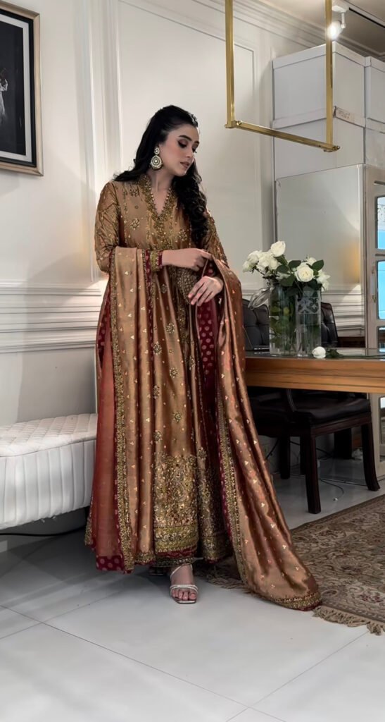 Haris Shakeel Hand Embellished Organza Party Wear Suit - Model Front Look | Pakistani Designer Replica Wholesale | IQNAZ