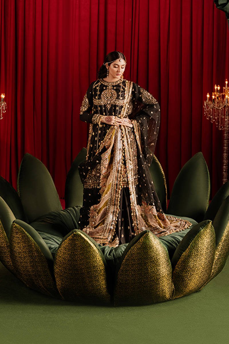 Republic Womens Wear Afreen Embroidered Organza Party Wear Suit - Embroidered Back & Daman Silhouette Detailing | IQNAZ