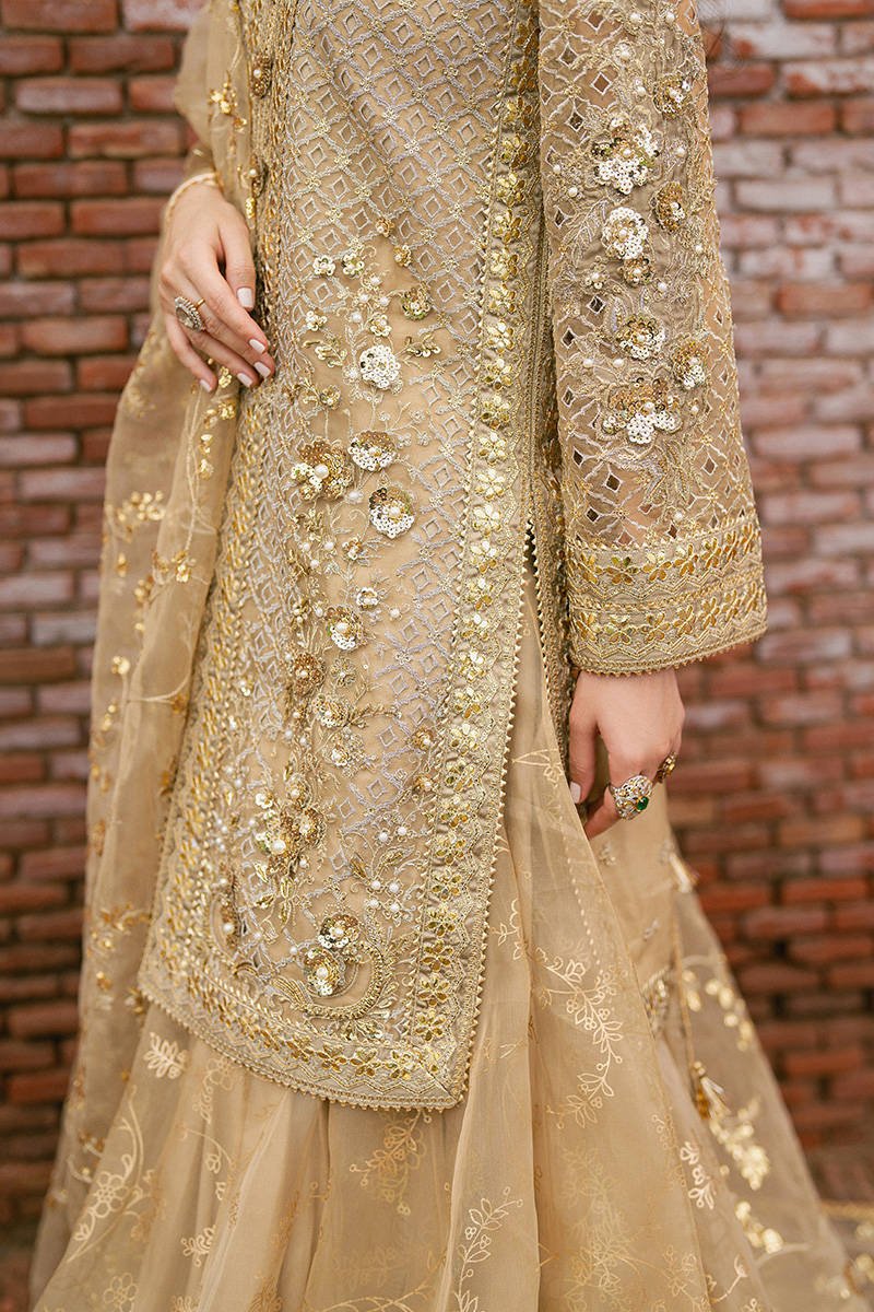Mohsin Naveed Ranjha Roshni Embroidered Organza Party Wear Suit – Photoshoot Angle 12 Mohsin Naveed Ranjha Roshni Embroidered Organza Party Wear Suit - Designer Photoshoot Gallery Angle 12 | IQNAZ Couture
