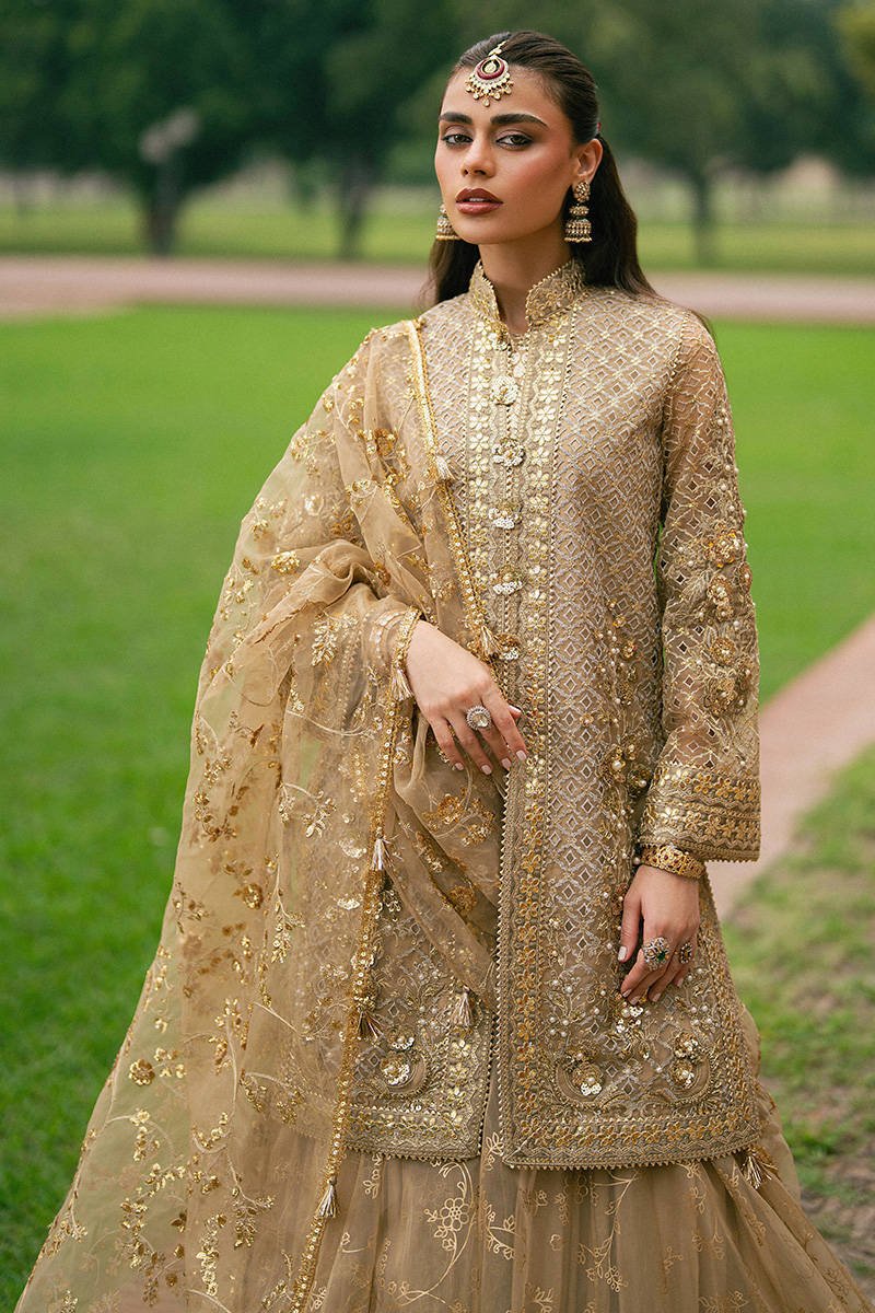 Mohsin Naveed Ranjha Roshni Embroidered Organza Party Wear Suit – Photoshoot Angle 7 Mohsin Naveed Ranjha Roshni Embroidered Organza Party Wear Suit - Designer Photoshoot Gallery Angle 7 | IQNAZ Couture