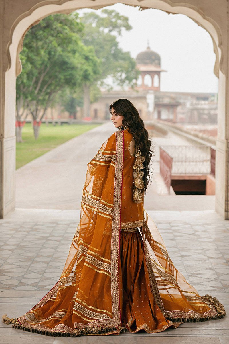 Mohsin Naveed Ranjha Ranjish Embroidered Organza Party Wear Suit - Designer Photoshoot Gallery Angle 12 | IQNAZ Couture