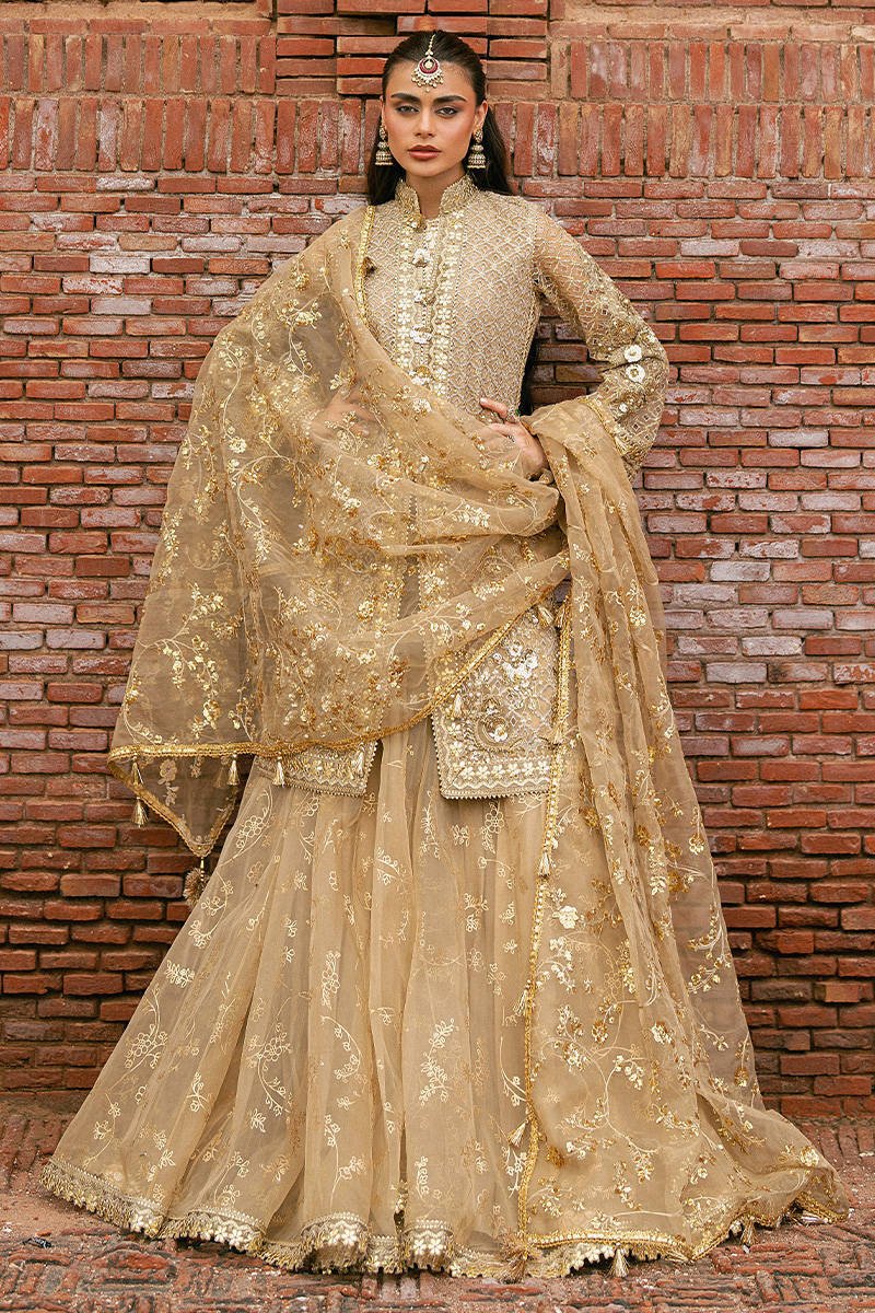 Mohsin Naveed Ranjha Roshni Embroidered Organza Party Wear Suit – Photoshoot Angle 6 Mohsin Naveed Ranjha Roshni Embroidered Organza Party Wear Suit - Designer Photoshoot Gallery Angle 6 | IQNAZ Couture
