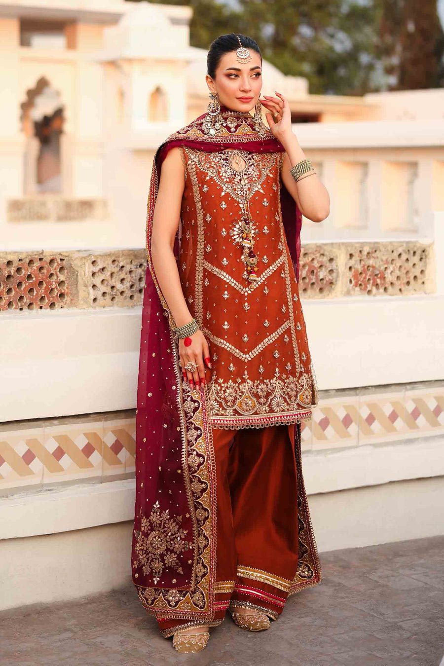 Maria B Embroidered Organza Party Wear Suit - Embroidered Back & Daman Silhouette Detailing | IQNAZ
