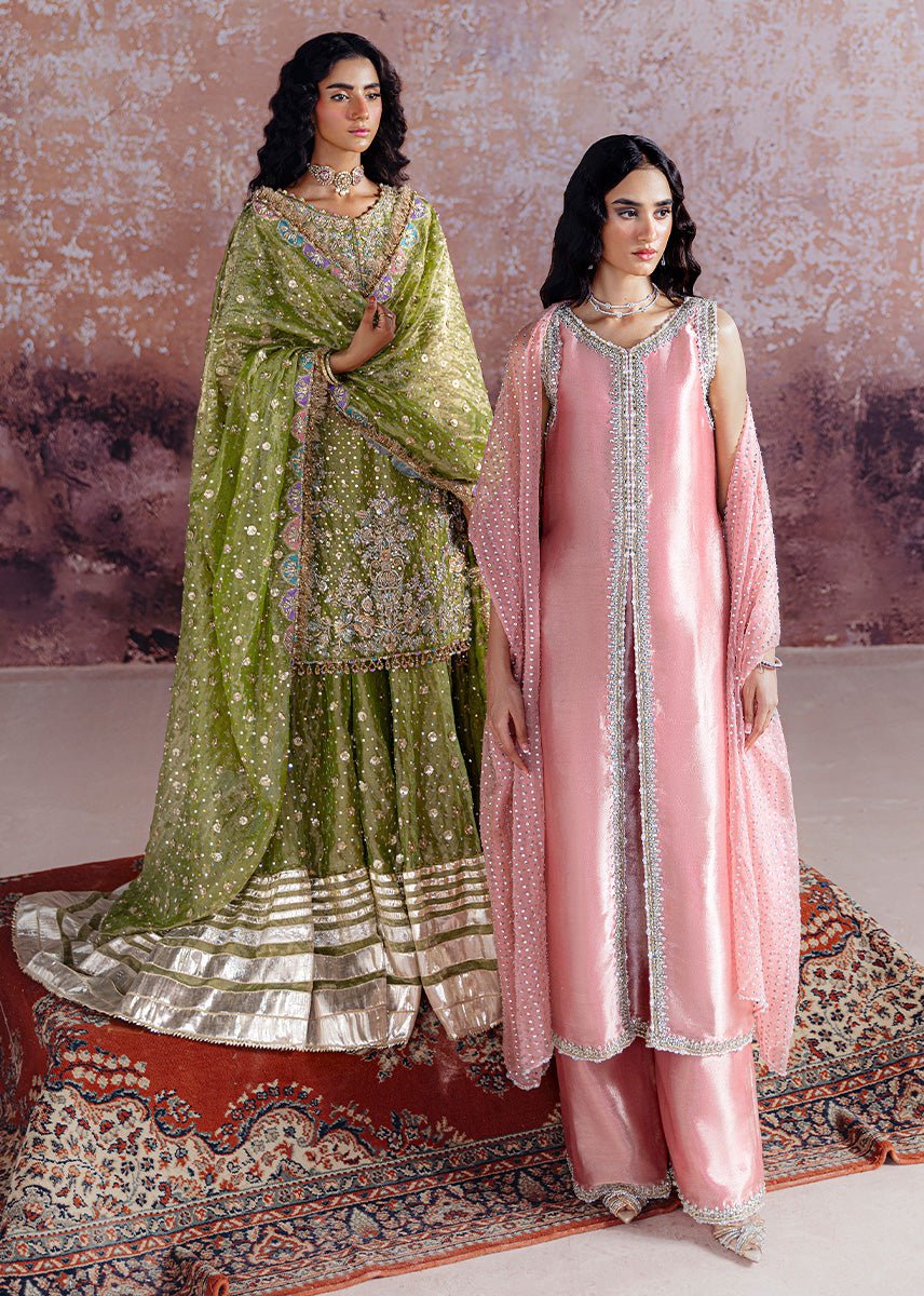 Sara Rohail Asghar Embroidered Organza Party Wear Suit – Photoshoot Angle 8 Sara Rohail Asghar Embroidered Organza Party Wear Suit - Designer Photoshoot Gallery Angle 8 | IQNAZ Couture