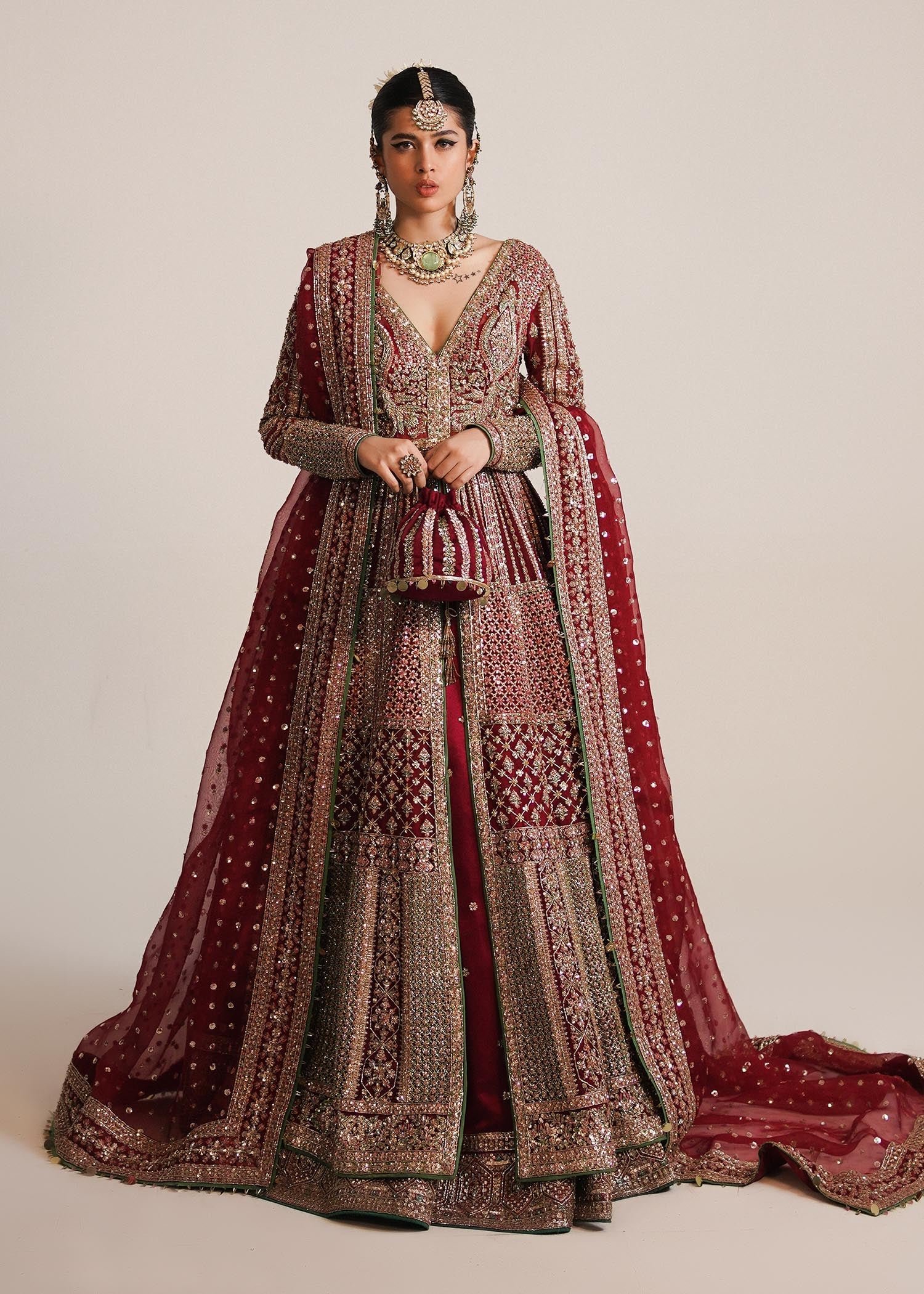 Hussain Rehar Hand Embellished Organza Party Wear Suit - Model Front Look | Pakistani Designer Replica Wholesale | IQNAZ