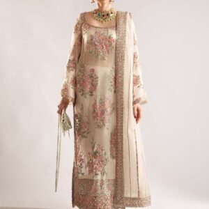 Hussain Rehar Euru Embroidered Organza Party Wear Suit - Model Front Look | Pakistani Designer Replica Wholesale | IQNAZ
