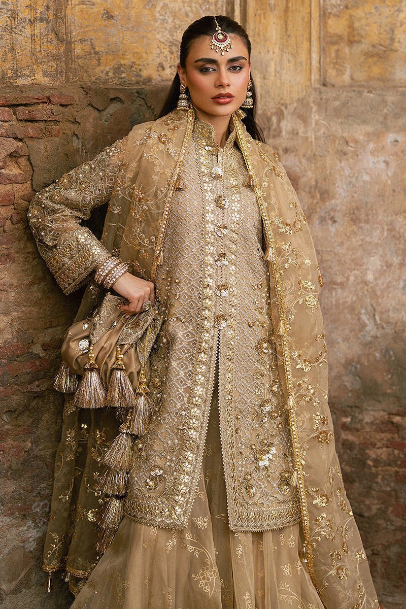 Mohsin Naveed Ranjha Roshni Embroidered Organza Party Wear Suit – Back View & Silhouette Mohsin Naveed Ranjha Roshni Embroidered Organza Party Wear Suit - Embroidered Back & Daman Silhouette Detailing | IQNAZ