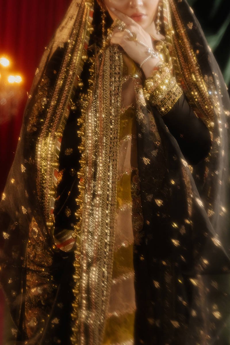 Republic Womens Wear Afreen Embroidered Organza Party Wear Suit - Designer Photoshoot Gallery Angle 13 | IQNAZ Couture
