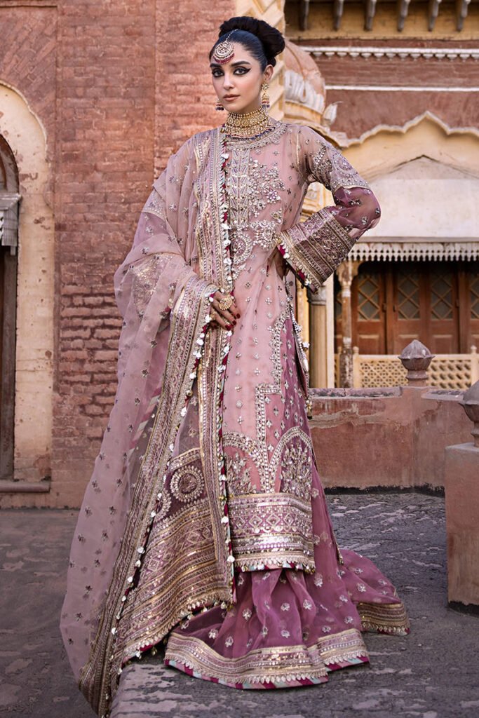 Mohsin Naveed Ranjha Aarzoo Embroidered Organza Party Wear Suit - Model Front Look | Pakistani Designer Replica Wholesale | IQNAZ