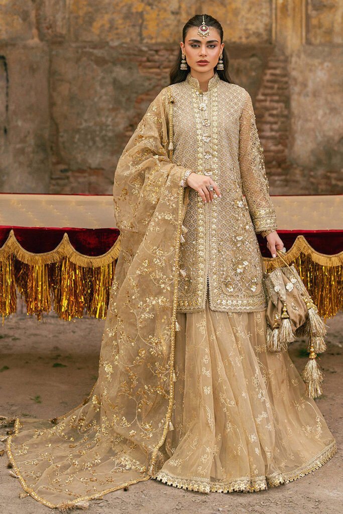 Mohsin Naveed Ranjha Roshni Embroidered Organza Party Wear Suit - Model Front Look | Pakistani Designer Replica Wholesale | IQNAZ