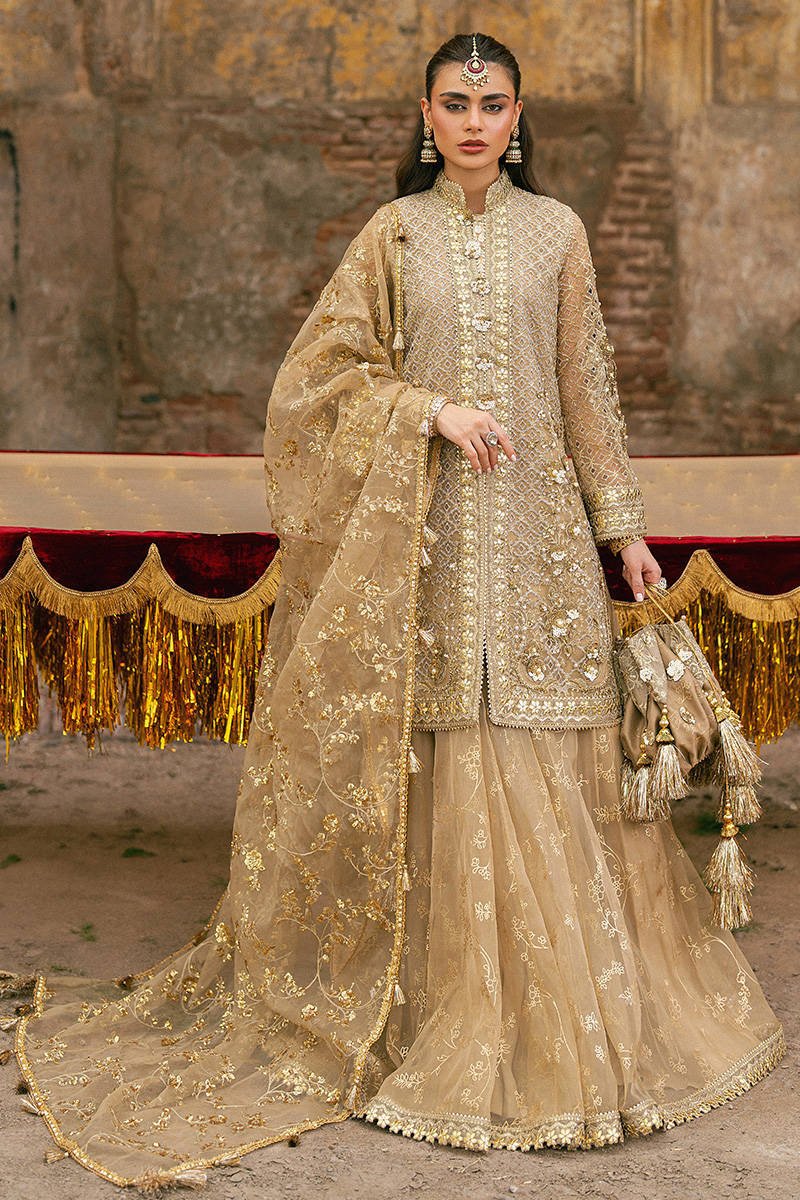 Mohsin Naveed Ranjha Roshni Embroidered Organza Party Wear Suit – Model Front View Mohsin Naveed Ranjha Roshni Embroidered Organza Party Wear Suit - Model Front Look | Pakistani Designer Replica Wholesale | IQNAZ
